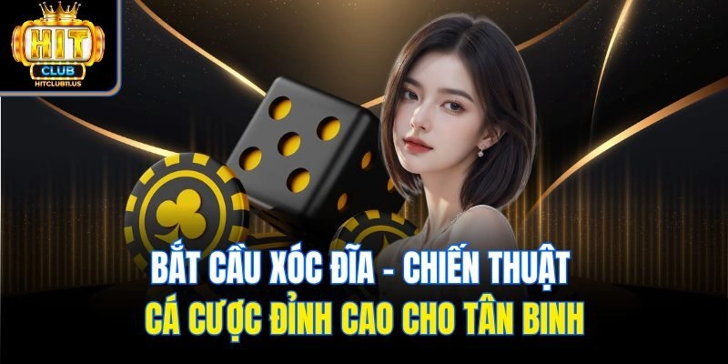 Bắt Cầu Xóc Đĩa - Chiến Thuật Cá Cược Đỉnh Cao Cho Tân Binh